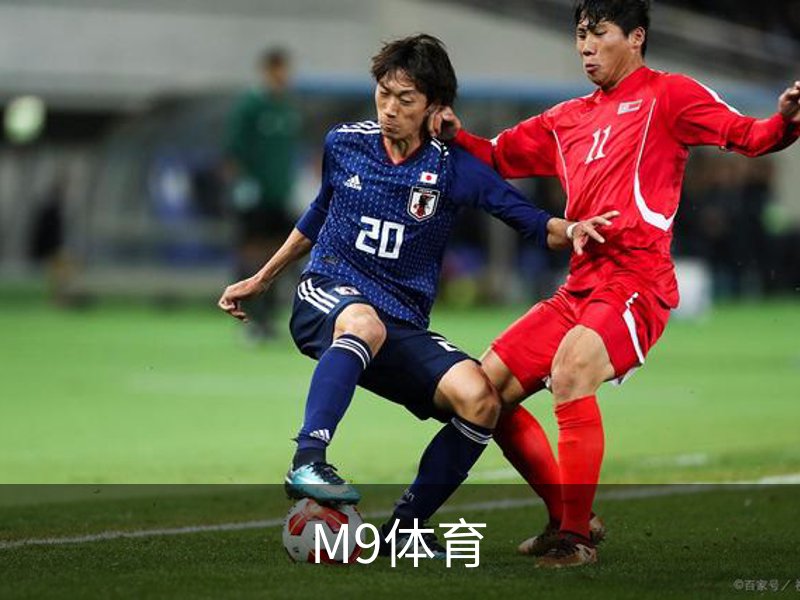 M9体育介绍